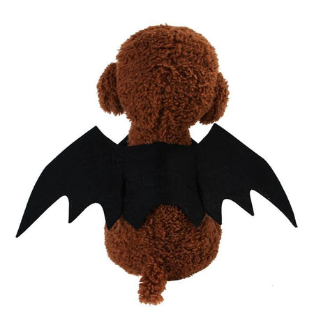 Cat Halloween Costume Cat Bat Wings